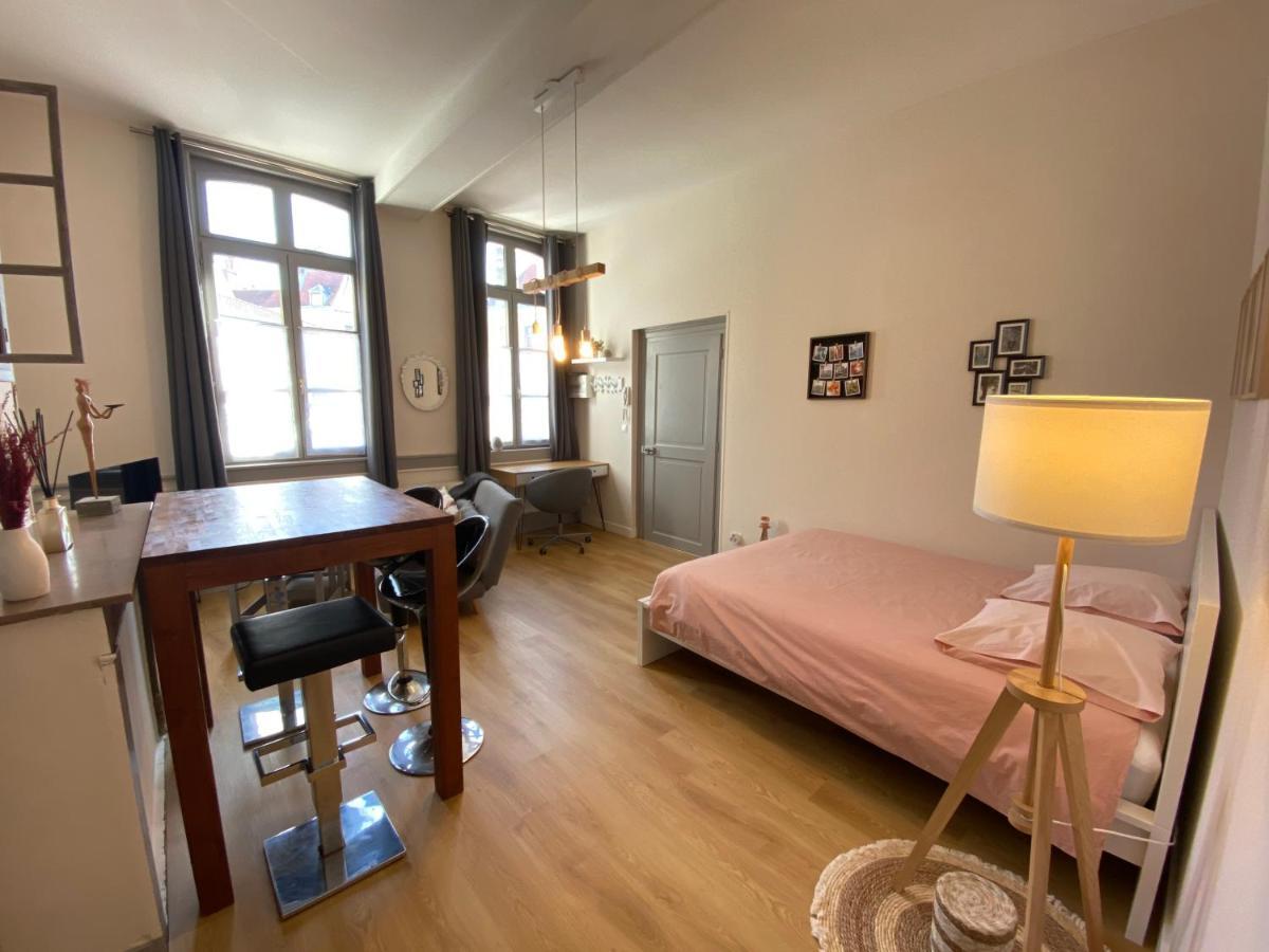 Studio Papillon En Plein Coeur De Ville Sint-Omaars Buitenkant foto